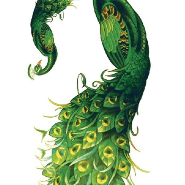 S.A.V.I Temporary Tattoo Stickers, 2 Green Peacock Beautiful Tattoo Pattern For Men, Women, Tattoo For Hand Arm, Size 21x11cm - 1Pc.