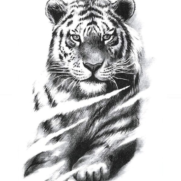 S.A.V.I 3D Temporary Tattoo Black Color Big Tiger Sitting Design Size 21x15 cm - 10 g  Amazon.in Beauty