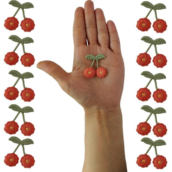 S.A.V.I Vibrant Cherry Embroidery Patch Set of 10 - DIY Sew-On Badges for Clothes, Jackets, Dresses, Blouses, Scarves, Hats, Bags, Jackets, Vests, Skirts, T-Shirts, Sweaters, Tank Tops (Red-orange)